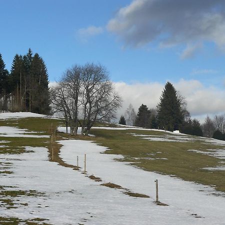 4-Sterne Ferienhaus Roesslewiese Hinterzarten Exterior foto