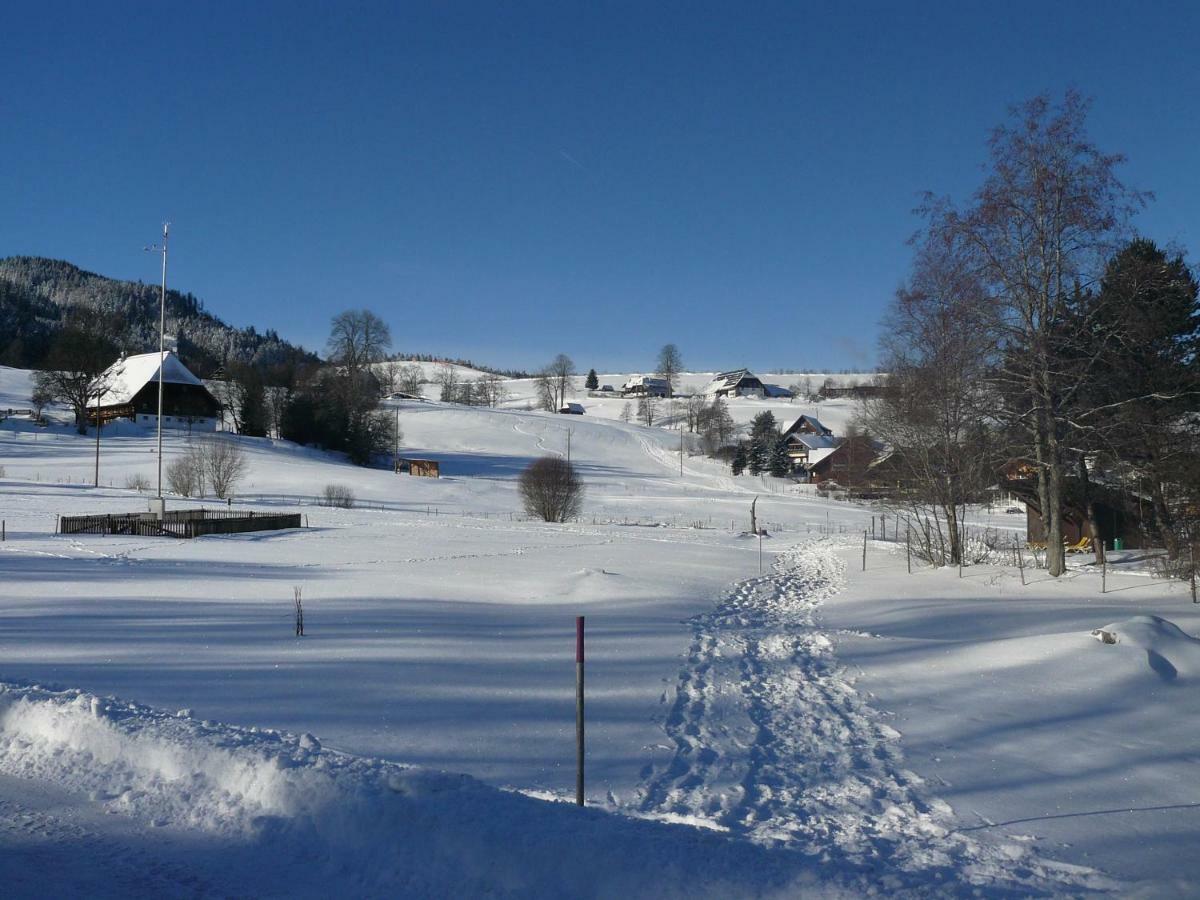 4-Sterne Ferienhaus Roesslewiese Hinterzarten Exterior foto